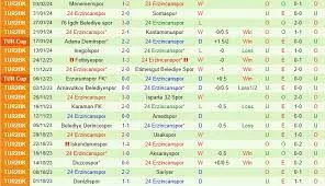 Ankaragucu vs 24 Erzincanspor/