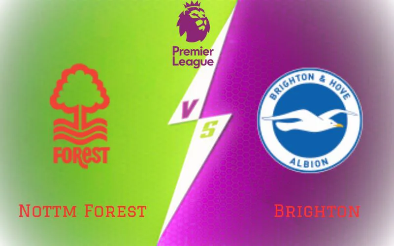 Soi Kèo Trận Đấu Nottm Forest vs Brighton 22h00 Ngày 25/11/2023 - Khó Phân Thắng Bại