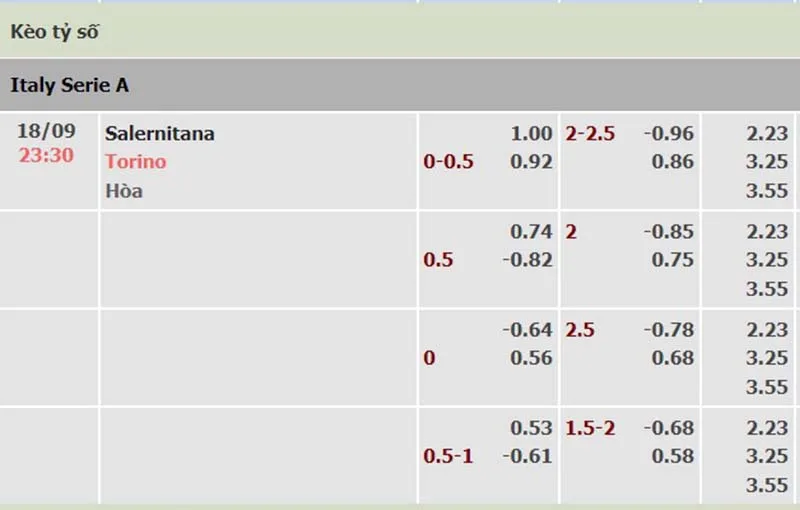 Salernitana vs Torino
